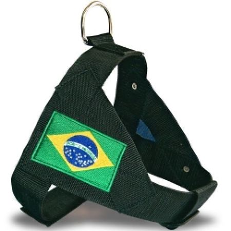 Peitoral Security NY 01