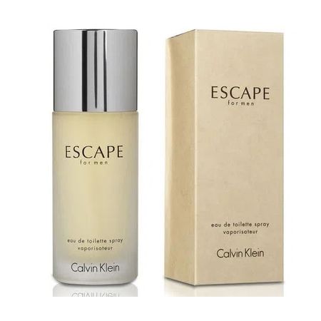 Escape De Calvin Klein Masculino 100 ml 100 ml