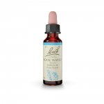 Rock Water Florais de Bach Originais 10 ml