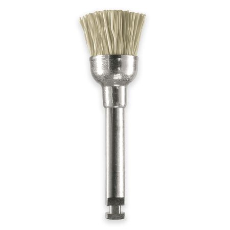 Eve Ca Brush WT1 - Odontomega