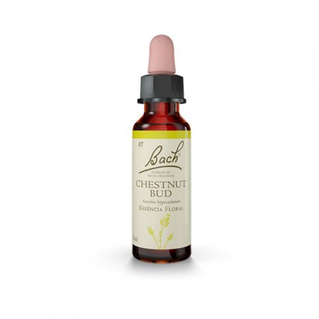 Floral de Bach Original Chestnut Bud com 10ml