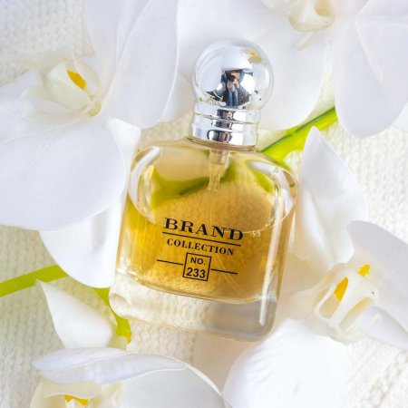 Perfume Brand Collection 233 EDP - Inspiração Giorgio Armani Because It's You Feminino 25ml