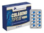 COLAGENO TIPO 2 400MG 60 CAPSULAS - FLORA NATIVA - A