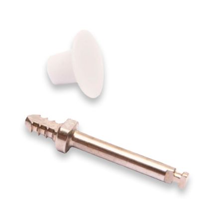 Ponta para Polimento Optmize Refil com 8 + Mandril - TDV Optmize Refil Disco com 8 + Mandril - TDV