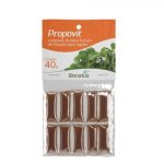 Mel Com Extrato de Propolis Agiao 10 Sachês 40g Bionatus