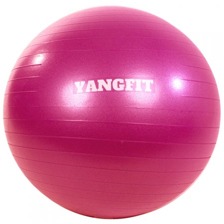Bola Pilates Suíça Exercícios Yoga 65cm Com Bomba Yangfit