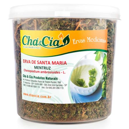 Chá de Erva de Santa Maria (Mentruz) - Chenopodium ambrosioides 100g Erva de Santa Maria (Mentruz) - Chenopodium ambrosioides 100g