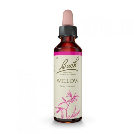 Willow Florais de Bach Originais 20 ml