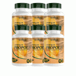 Extrato De Propolis + Vitamina E 6 Unidades C/60 Caps 500mg - Linduras