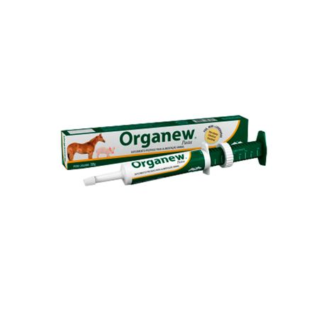 Organew Pasta Equinos 32g Vetnil Suplemento
