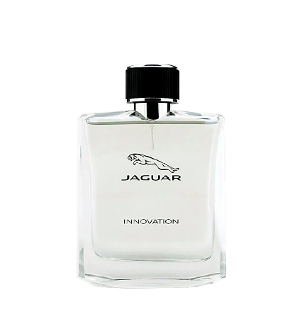 Perfume Masculino Jaguar Innovation Eau de Toilette 100ml