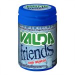 Pastilha Valda Friends Sabor Mentol Sem Açúcar com 50g