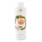 Chá Gelado de Pessego 500ml Casa Madeira