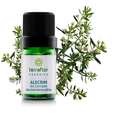Óleo Essencial de Alecrim do Cerrado Orgânico 5ml Terra Flor