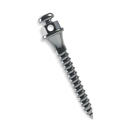 3710203 Mini Parafuso Ortodôntico Compr: 10mm Transm: 2mm Ø 1,5mm - Morelli