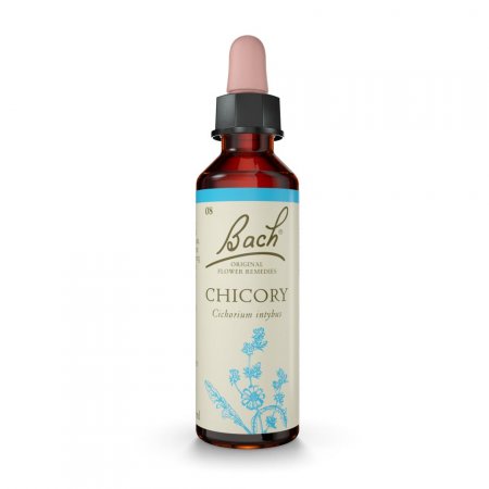 Chicory Florais de Bach Originais 20 ml