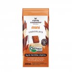 Kit com 12 A Tal da Castanha Mini Chocolate 200ml