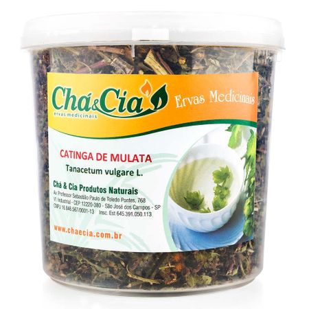 Chá de Catinga de Mulata - Tanacetum vulgare L. 100g Catinga de Mulata - Tanacetum vulgare L. 100g