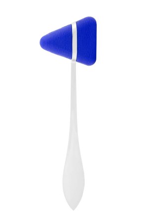 Martelo Bic de Reflexos Taylor