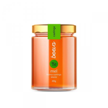 Mel Beeva Caatinga Silvestre Vidro com 490g