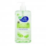 Gel Antisséptico Hi Clean Extrato de Frutas Citricas 438g