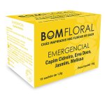 Caixa de Chá Emergencial Com 15 Sachês