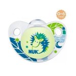 Chupeta de Silicone NIGHT e DAY BOY 6M+ Ouriço NUK PA7315-2B