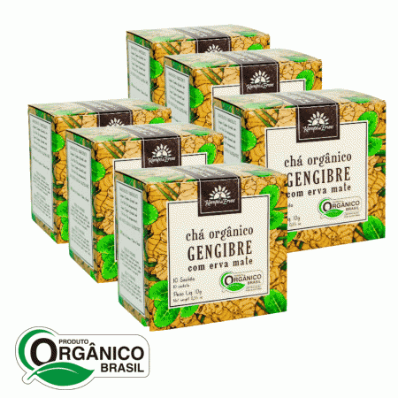 Gengibre Chá Orgânico com Erva Mate Kampo de Ervas 60 sachês