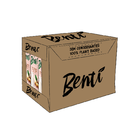 Box 12 Unidades   Leite Vegetal de Macadâmia e Castanha de Caju