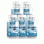 Colágeno Tipo 2 + Msm 5 Unidades 500mg C/60 Capsulas - Linduras