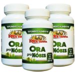 Kit 3x Ora Pro Nóbis, Rei Terra, 60 Cáps. 500mg.