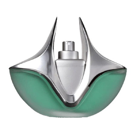 LINN YOUNG SILVER LIGHT WOMAN EDP 100ML