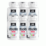 Vitador Max Vitamínico Natural 6 Unidades C/60 Capsulas 500mg Linduras