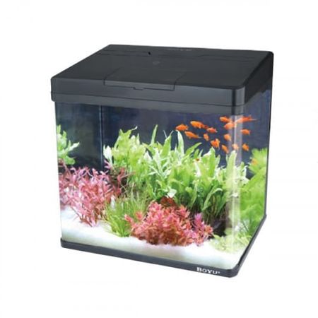 Aquario Curvo Completo Boyu com Led Ms-320 25 Litros