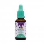 Floral Kids Os Tipos Florais Natural 30ml - Floral Therapi