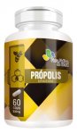 PROPOLIS EXTRATO SECO 500MG 60 CAPSULAS - FLORA NATIVA - A