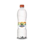 Água Mineral Lindoya Verão Com Gás com 510ml