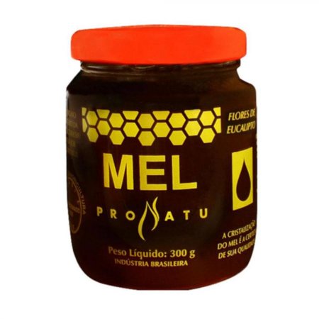 Mel Eucalipto 300g Pronatu