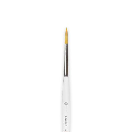 Pincel Allwhite 6 - Odontomega