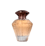 Omerta Conscentra Golden Challenge Limited For Woman Eau de Parfum - Perfume Feminino 100ml