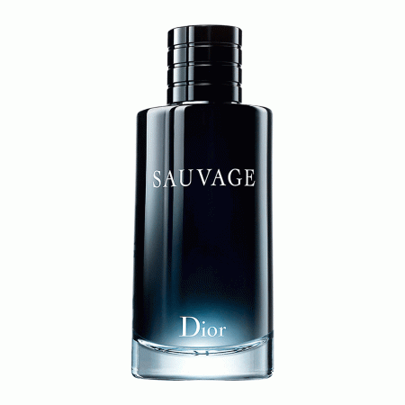 Dior Sauvage Eau de Toilette - Perfume Masculino