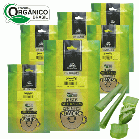 Babosa Aloe Vera Orgânica em pó Kampo de Ervas 6und 25g cada
